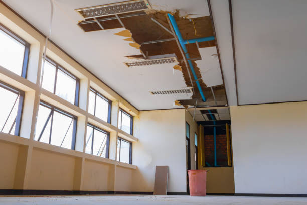 Best Flooded house restoration  in Thomaston, GA