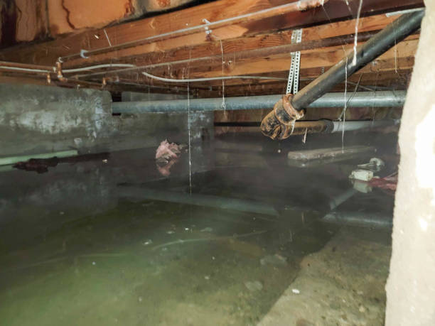 Water damage restoration insurance claims in Thomaston, GA