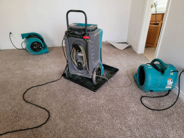 Best Water damage restoration process  in Thomaston, GA