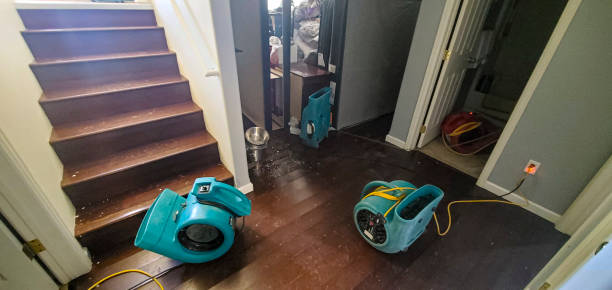 Best Water damage restoration insurance claims  in Thomaston, GA