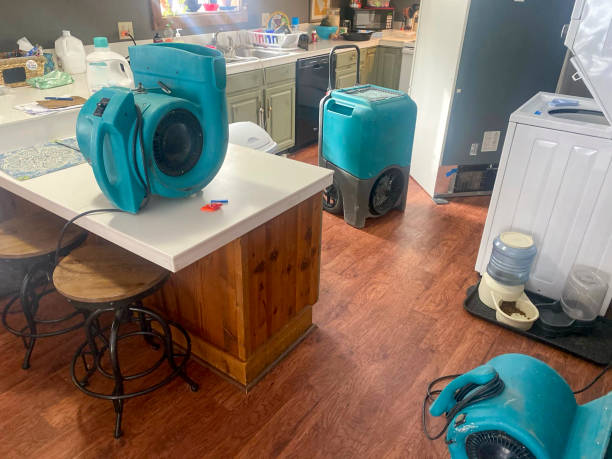 Best Professional water damage repair  in Thomaston, GA