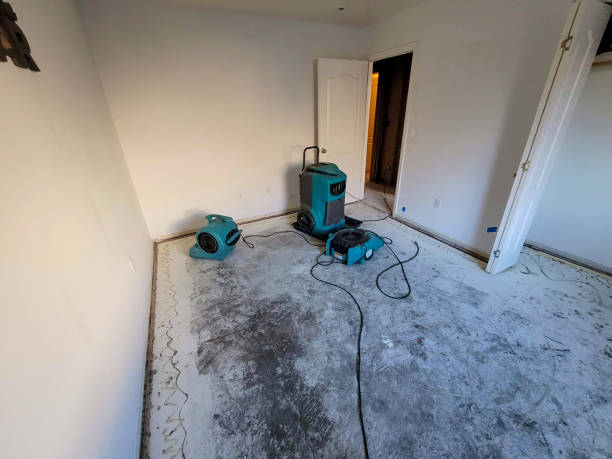 Best Water damage contractors near me  in Thomaston, GA