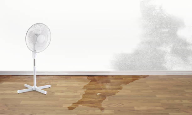 Best Sewage cleanup and water damage restoration  in Thomaston, GA