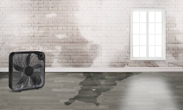 Best 24/7 water damage repair  in Thomaston, GA