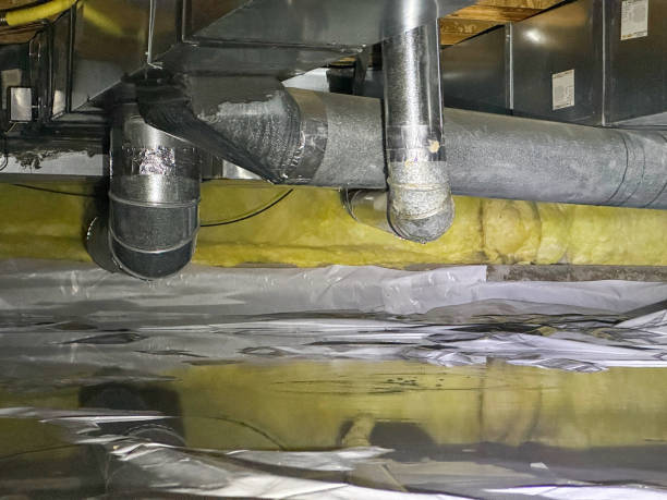 Best Flood restoration services  in Thomaston, GA