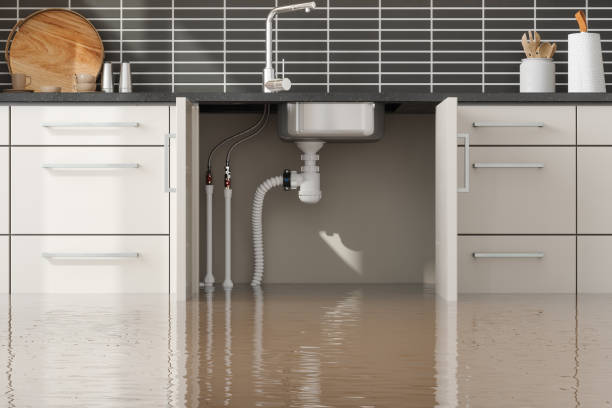 Best 24-hour water damage restoration  in Thomaston, GA