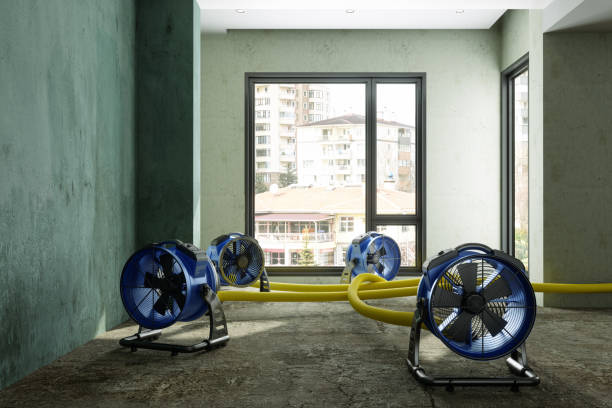 Best Mold removal after water damage  in Thomaston, GA