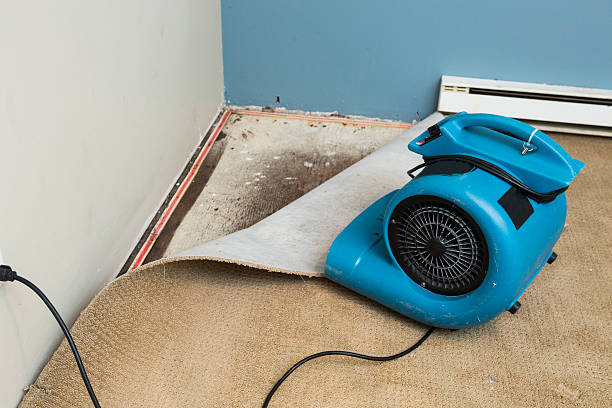 Best Fire Damage Restoration  in Thomaston, GA